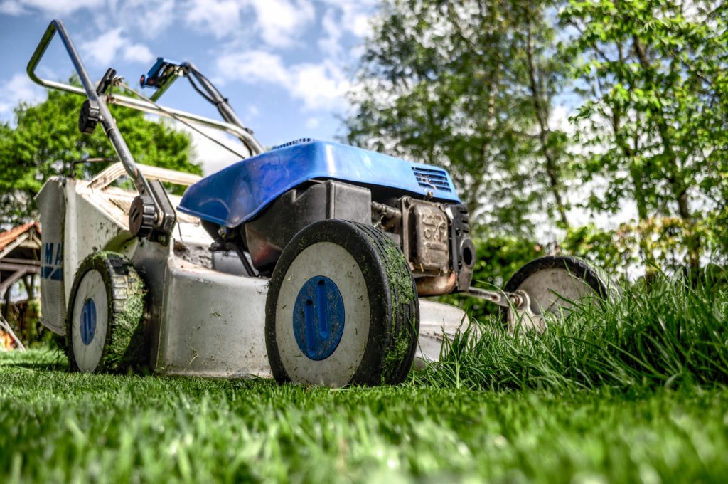 grass-lawnmower