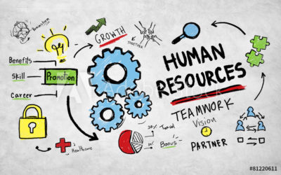 The Differences Between HR Consultants and In-House HR